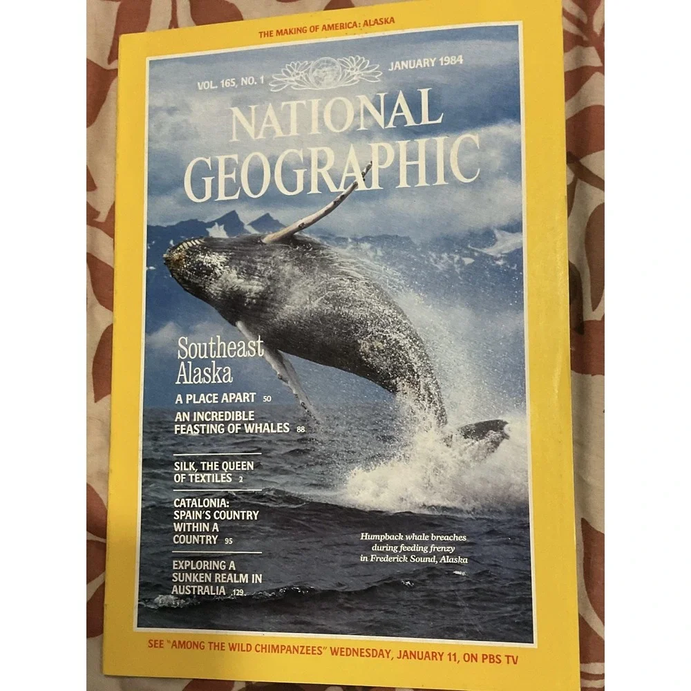 Vintage 1984 National Geographic Magazine Lot Jan May Jul Aug Nov‎ Underground